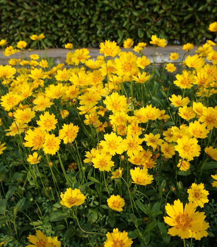 Image credit: Shutterstock