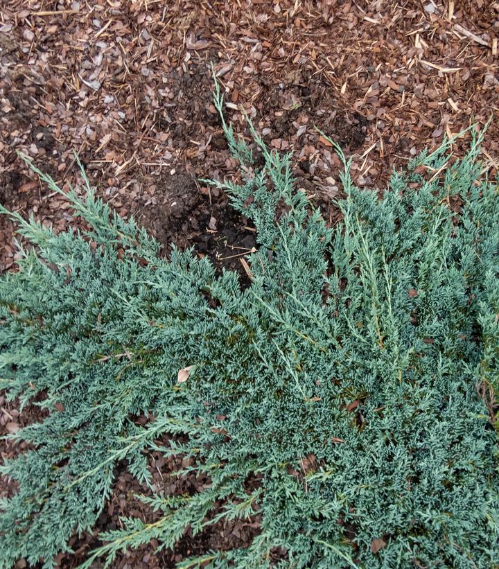 Image Credit: Adobe Stock