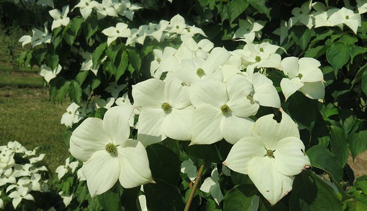 Image credit: Rutgers University