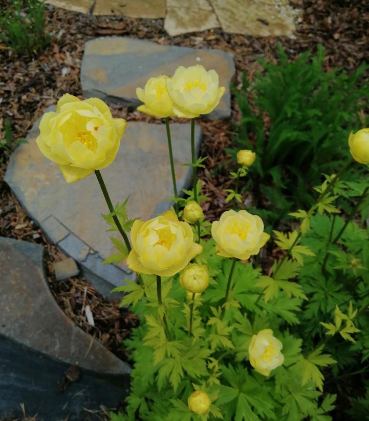 Image credit: Adobe Stock Images