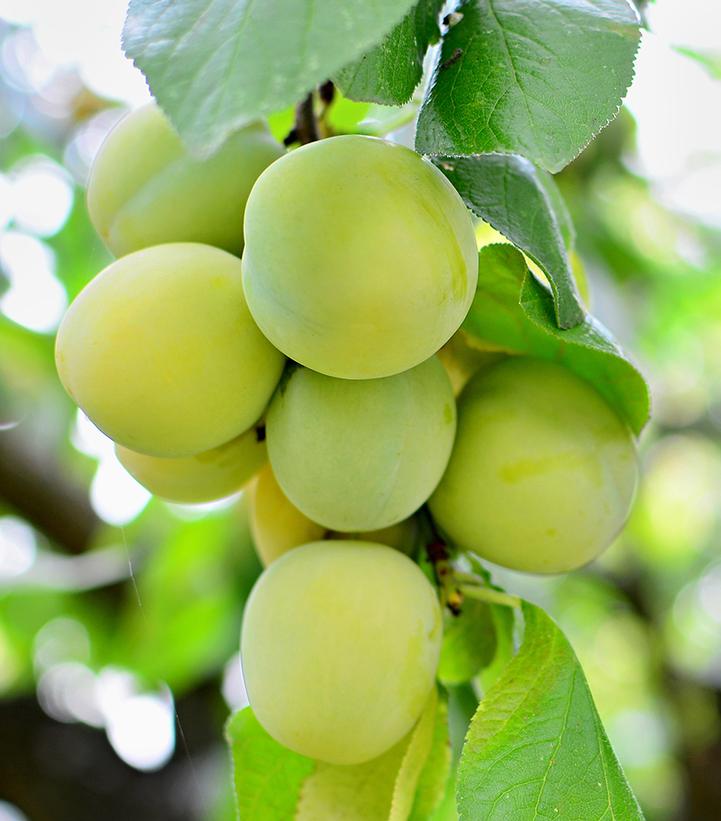 Image credit: Adobe Images