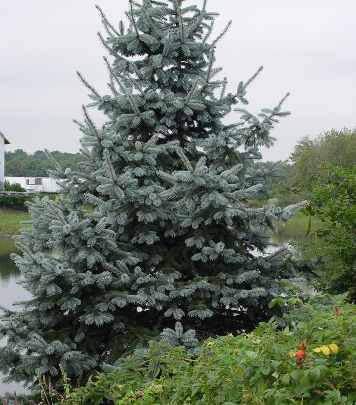 Image credit: Prides Corner Farms