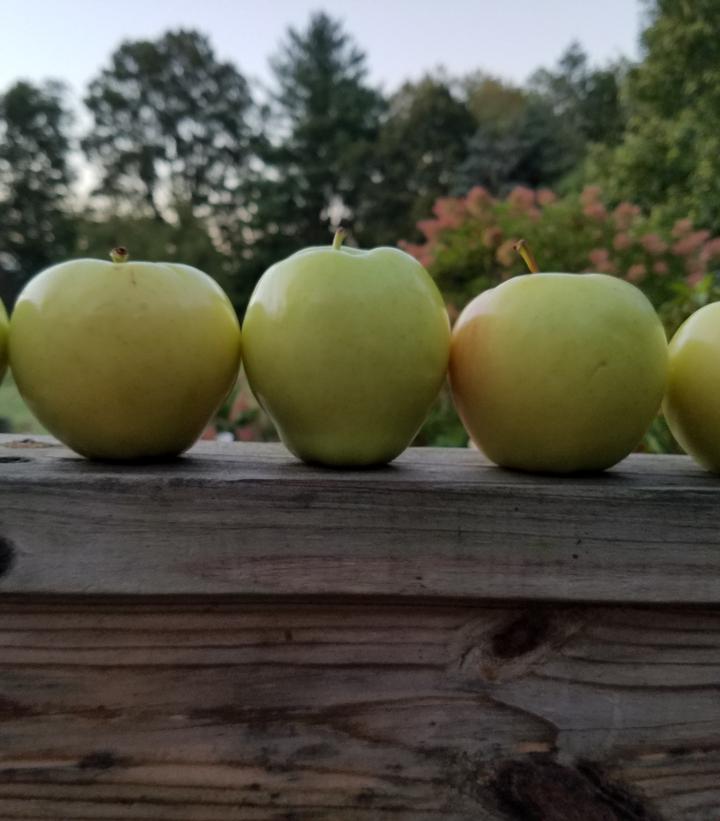 Image Credit: Prides Corner Farms 