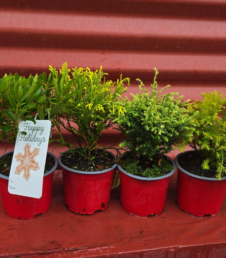 Image Credit: Prides Corner Farms