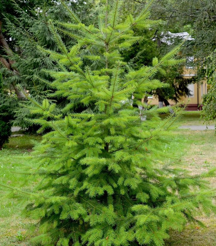 Photo Credit: Shutterstock