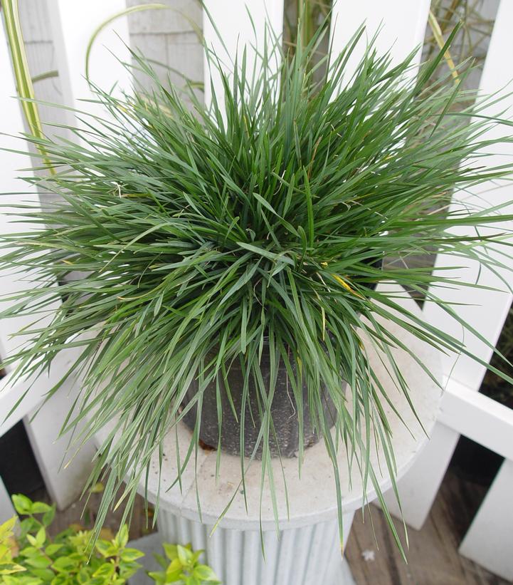 Image Credit: Prides Corner Farms