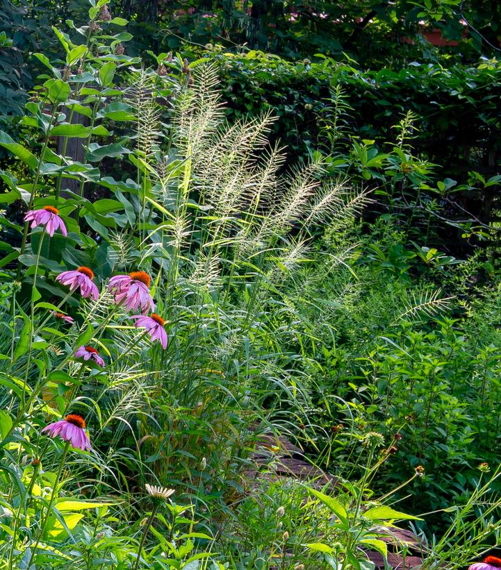 Image courtesy of Shutterstock